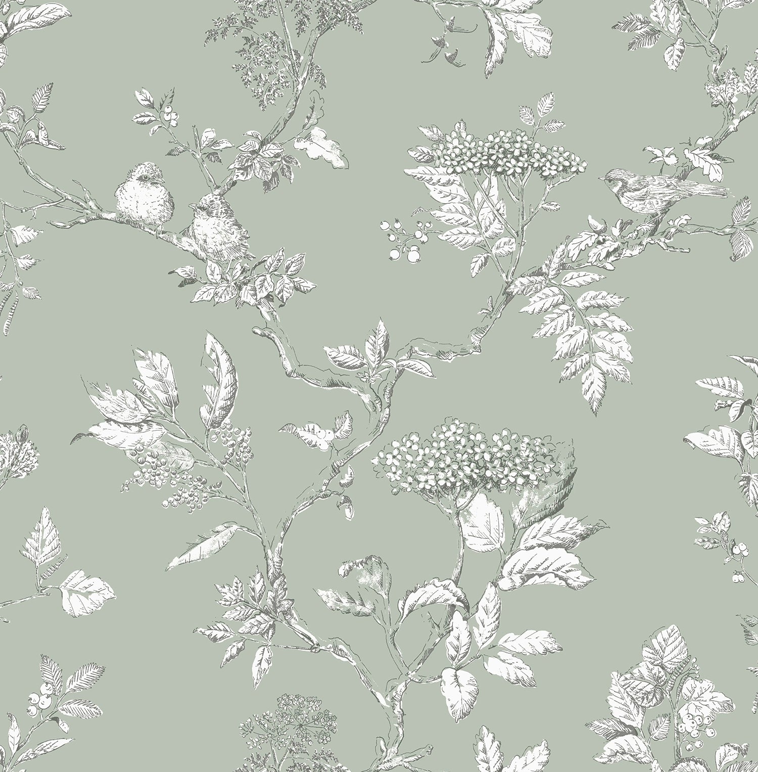 113348 Elderwood Sage Wallpaper by Laura Ashley