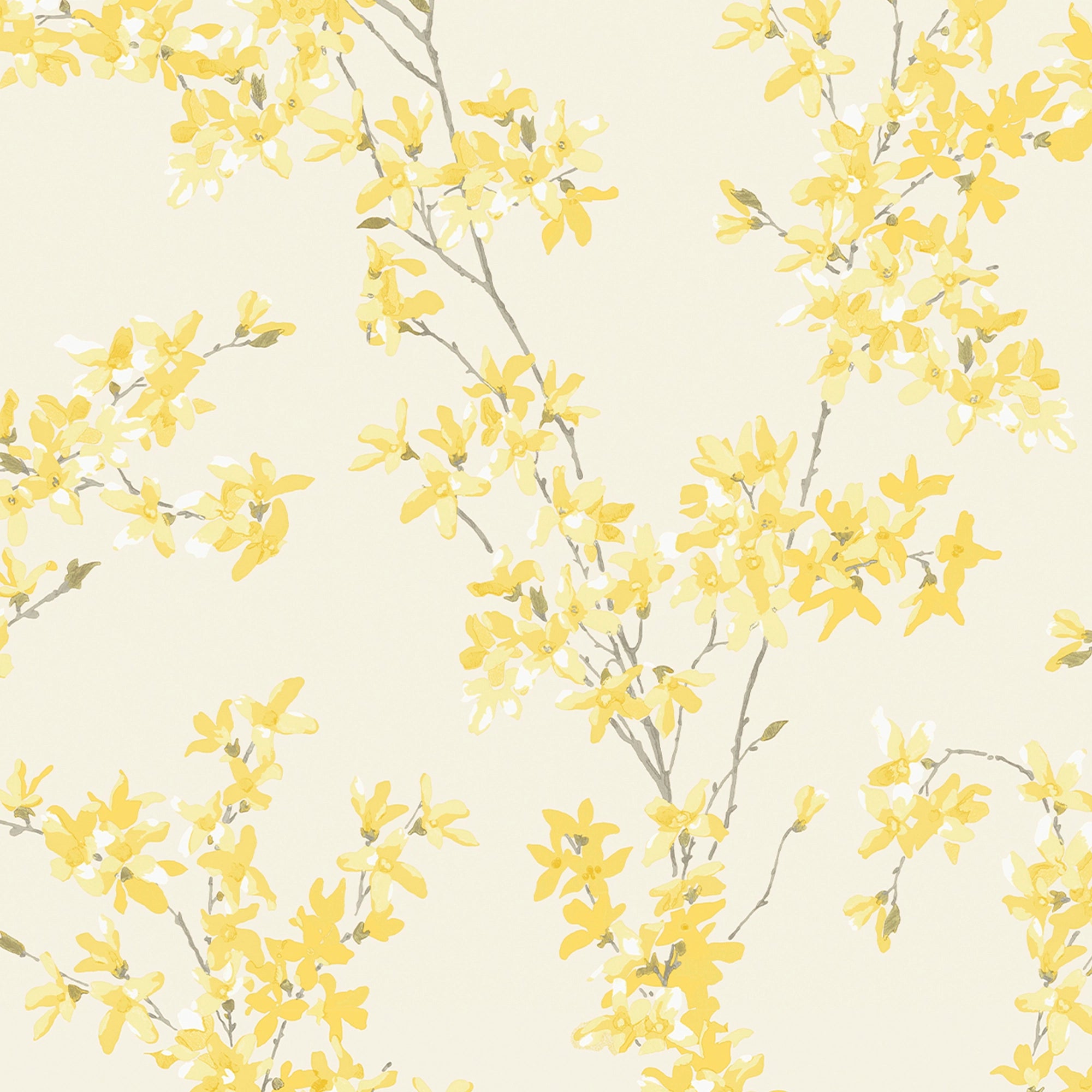 113350 Forsythia Sunshine Wallpaper by Laura Ashley