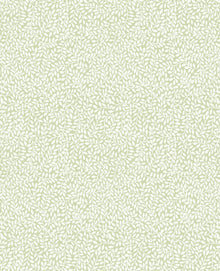 113352 Little Vines Hedgerow Wallpaper by Laura Ashley