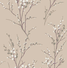 113358 Pussy Willow Natural Wallpaper by Laura Ashley