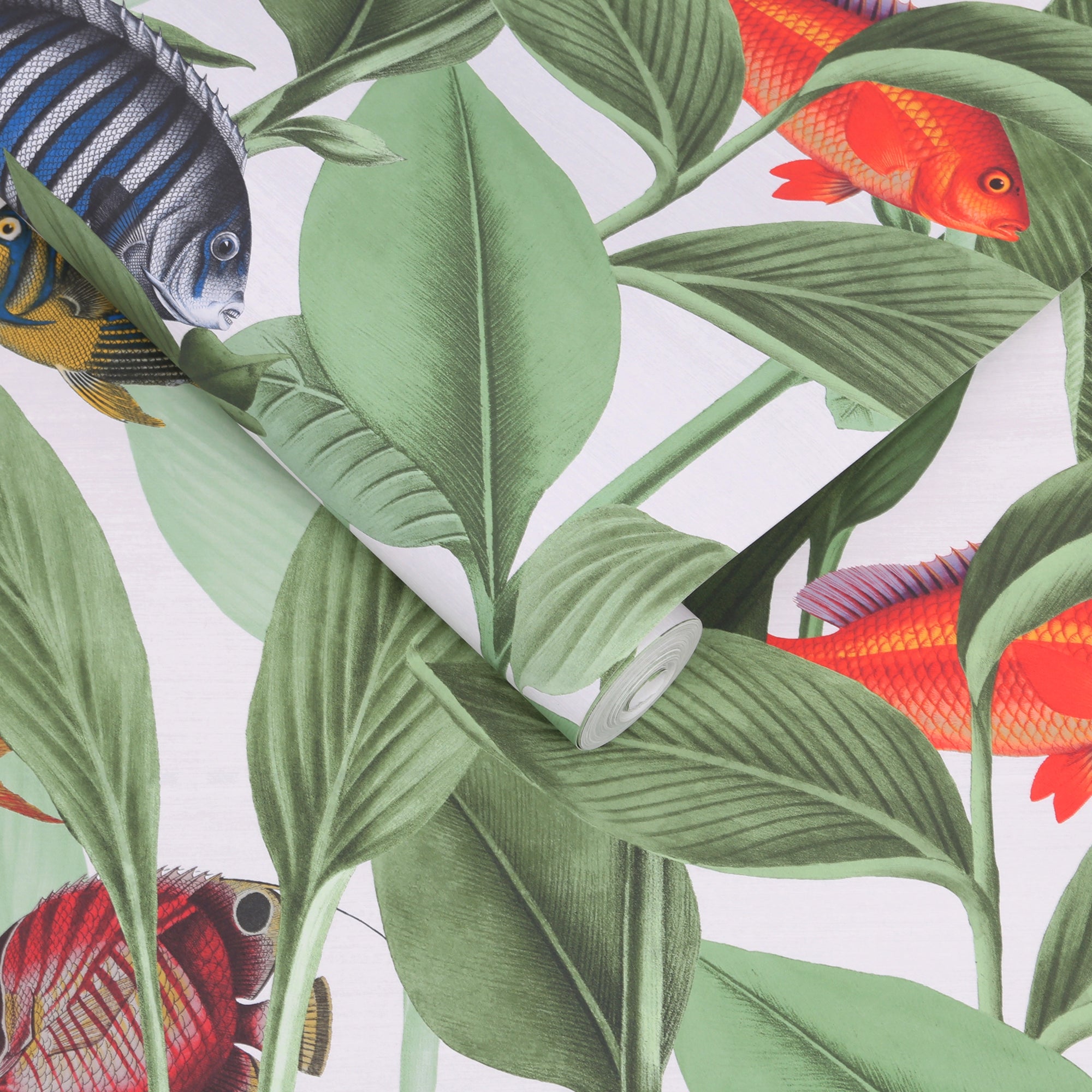 113938 Aquarium Curiosity Wallpaper by Graham and Brown