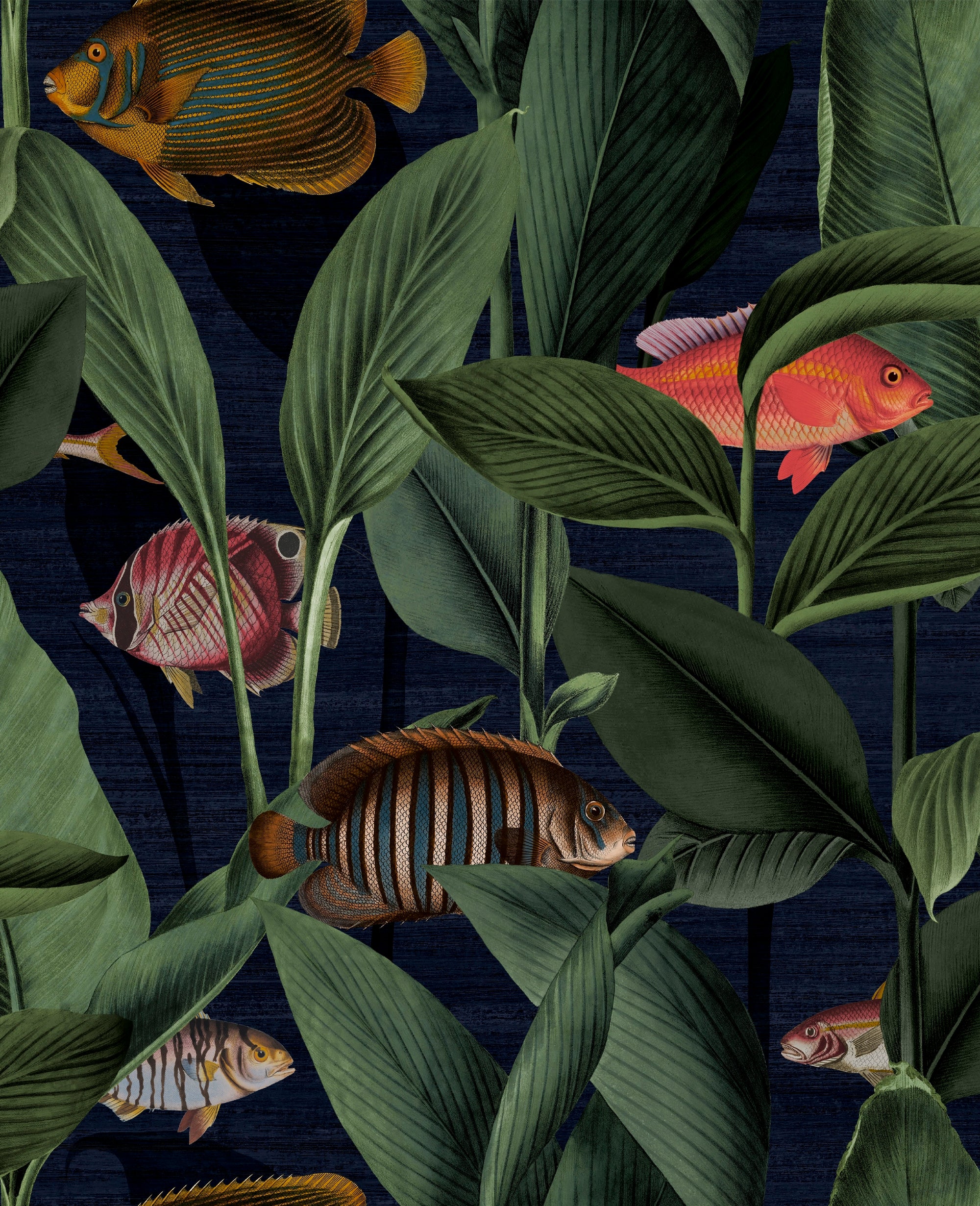 113939 Aquarium Curiosity Wallpaper by Graham and Brown