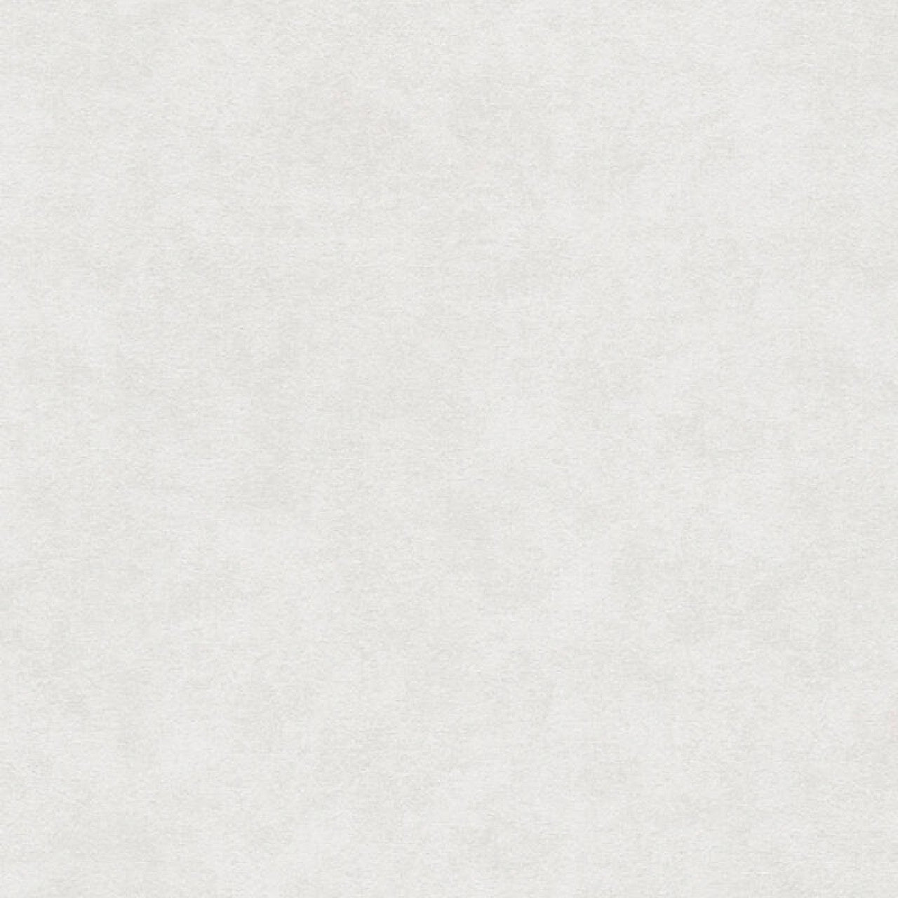 11604-8 Styleguide Colours 2024 Wallpaper by A S Creation