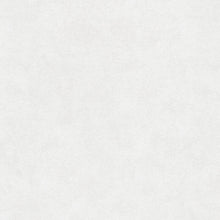 11605-5 Styleguide Colours 2024 Wallpaper by A S Creation