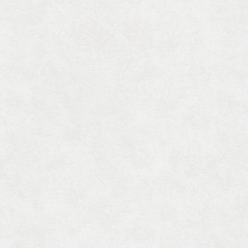 11605-5 Styleguide Colours 2024 Wallpaper by A S Creation