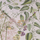118015 Edulis Blush  Wallpaper by Graham and Brown