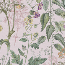 118015 Edulis Blush  Wallpaper by Graham and Brown
