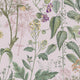 Edulis Blush  Wallpaper by Graham and Brown