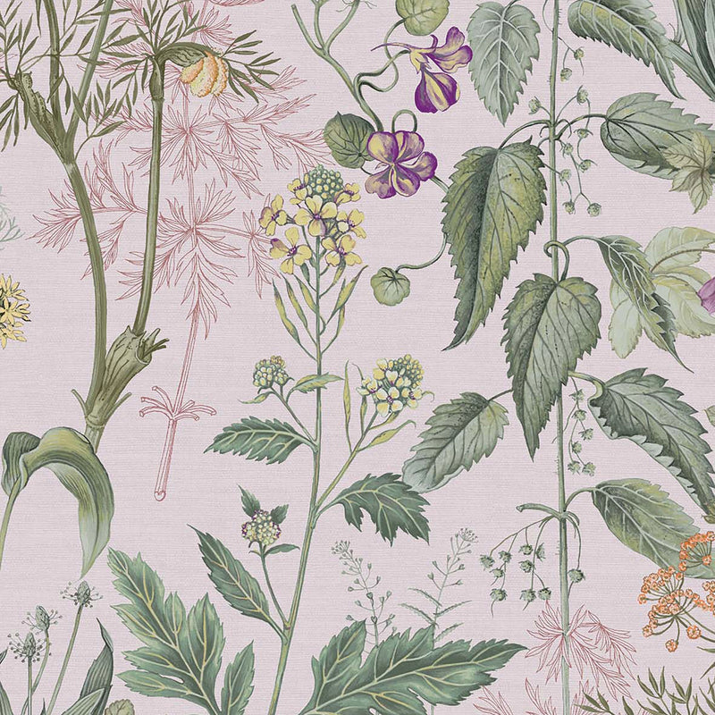 118015 Edulis Blush  Wallpaper by Graham and Brown