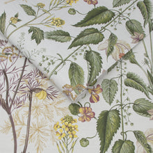 118017 Edulis Sage Wallpaper by Graham and Brown