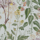 118017 Edulis Sage Wallpaper by Graham and Brown