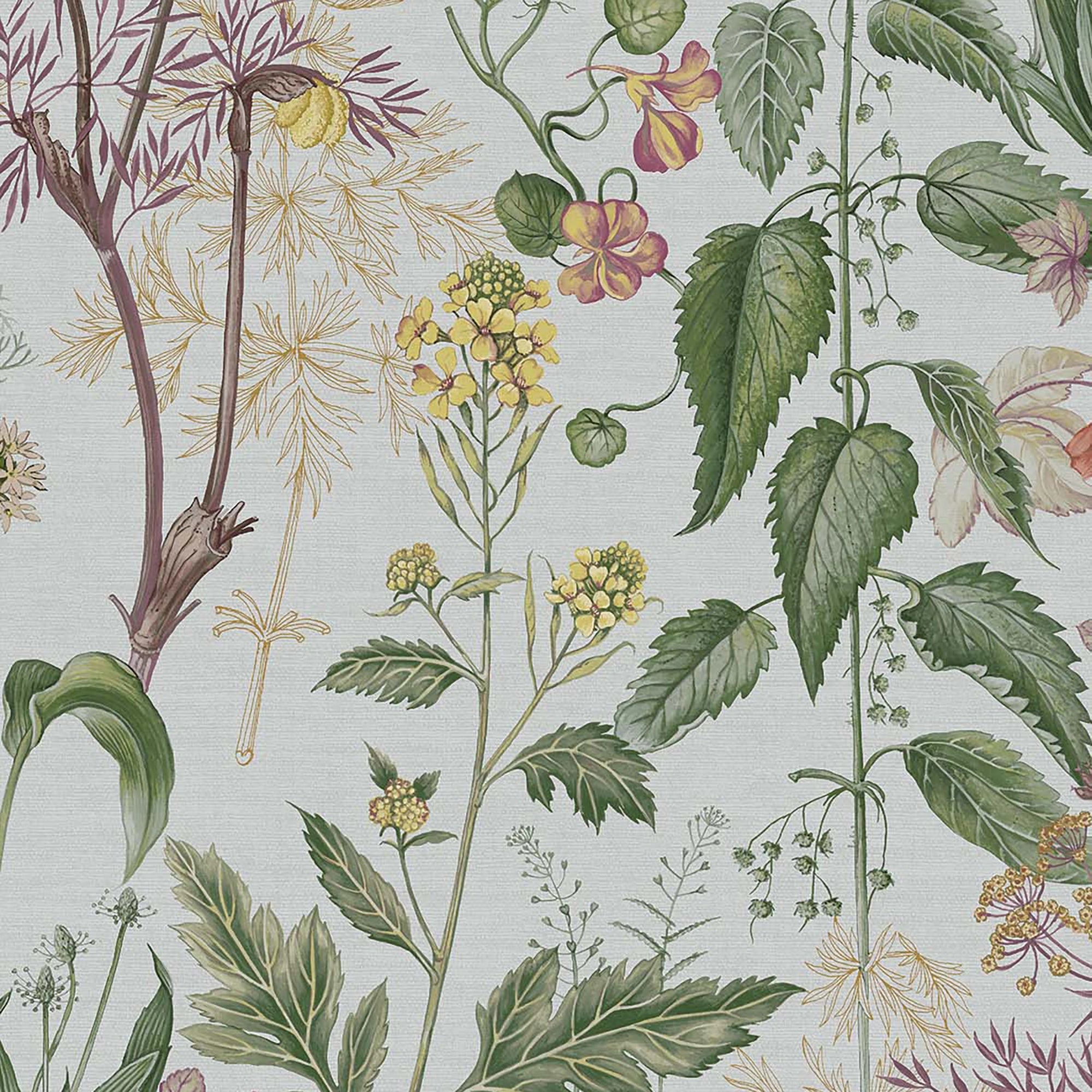 118017 Edulis Sage Wallpaper by Graham and Brown