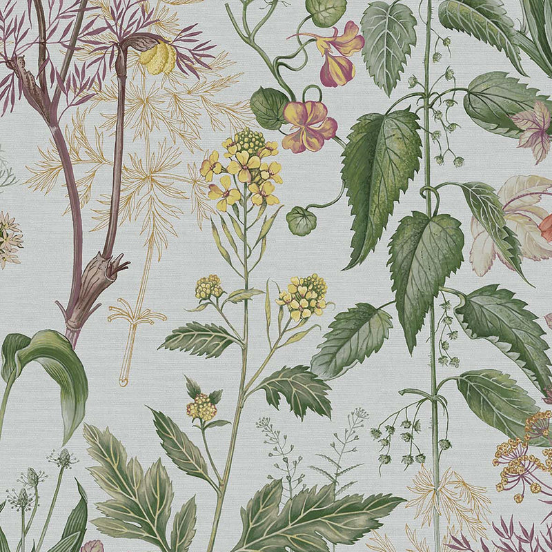 118017 Edulis Sage Wallpaper by Graham and Brown