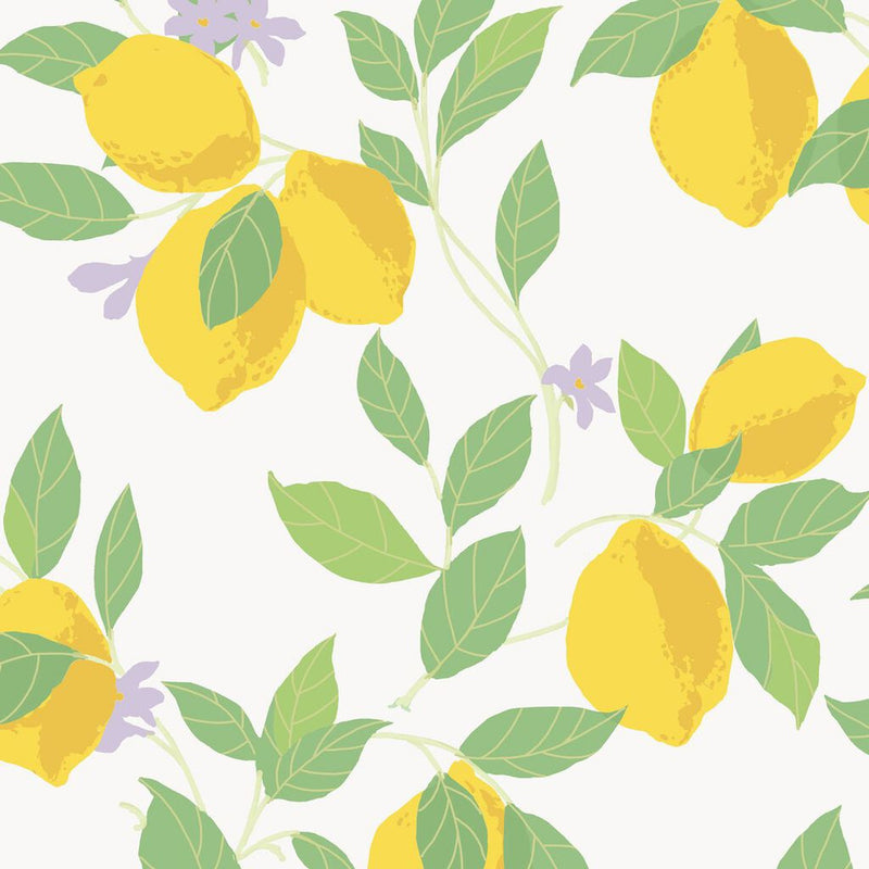 118619 Feeling Fruity Fresh Wallpaper by Envy