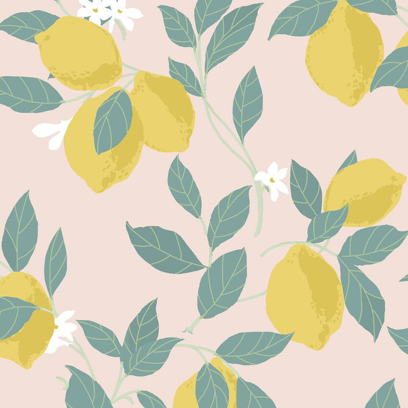 118723 Feeling Fruity Blush Wallpaper by Envy