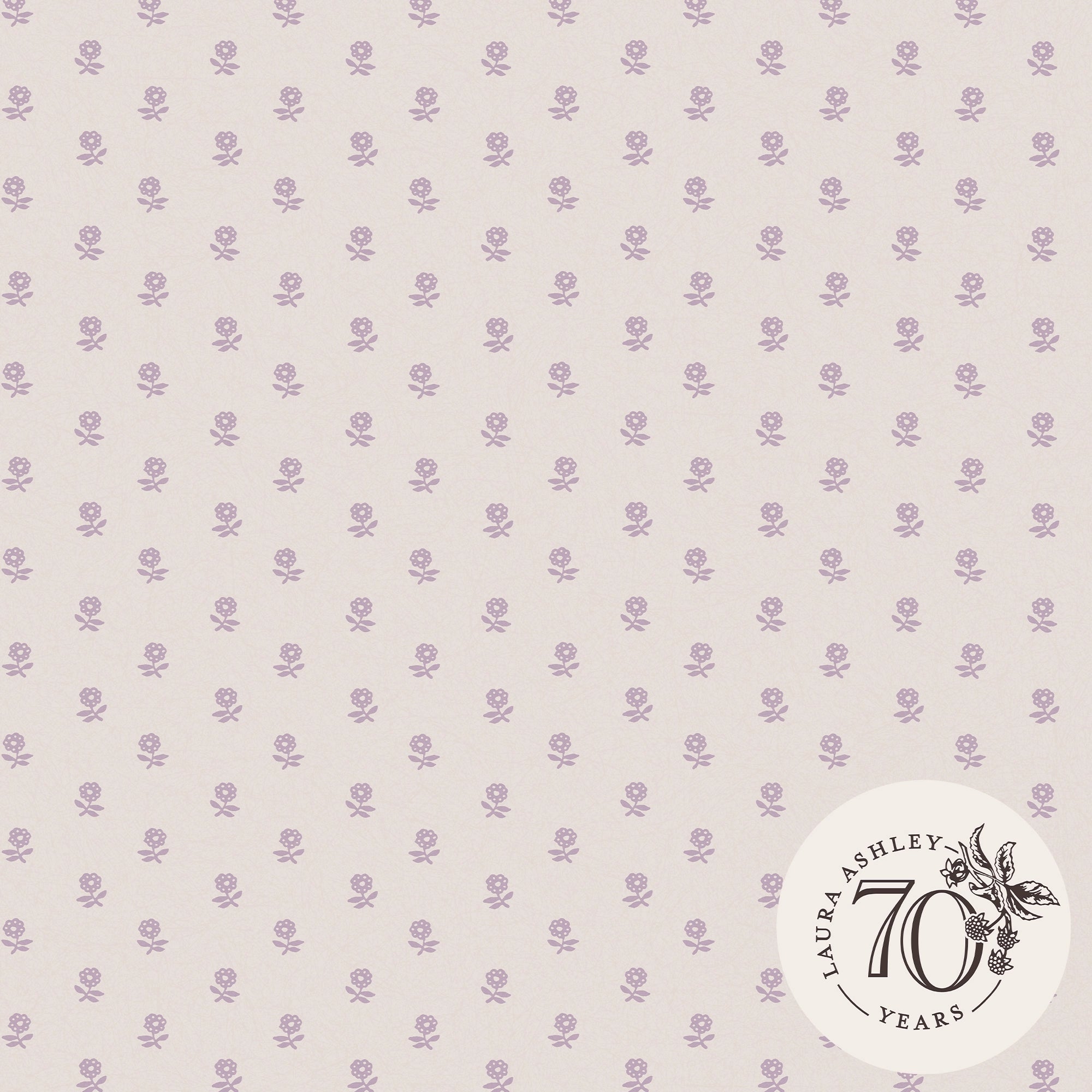 119864 Daisy Lavender Purple Wallpaper by Laura Ashley