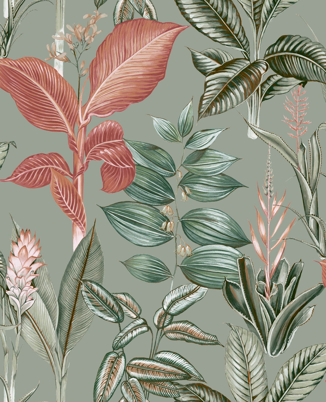 120209 Rainforest Leaves Sage Wallpaper by Next