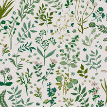 120873 Holcombe Floral Creme Wallpaper by Joules
