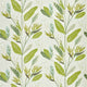 Llenya Mirador Drapery Lime / Jade / Pebble Fabric by Harlequin