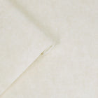 121094 Plain Pale Dove Grey Wallpaper by Laura Ashley