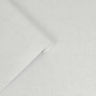 121096 Plain Pale Silver Wallpaper by Laura Ashley