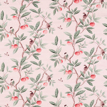 121112 Ella Harlequin X Diane Hill Powder, Sage and Peach Fabric by Harlequin
