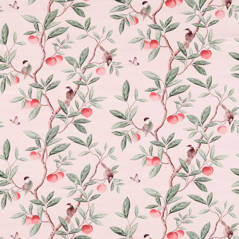 121112 Ella Harlequin X Diane Hill Powder, Sage and Peach Fabric by Harlequin