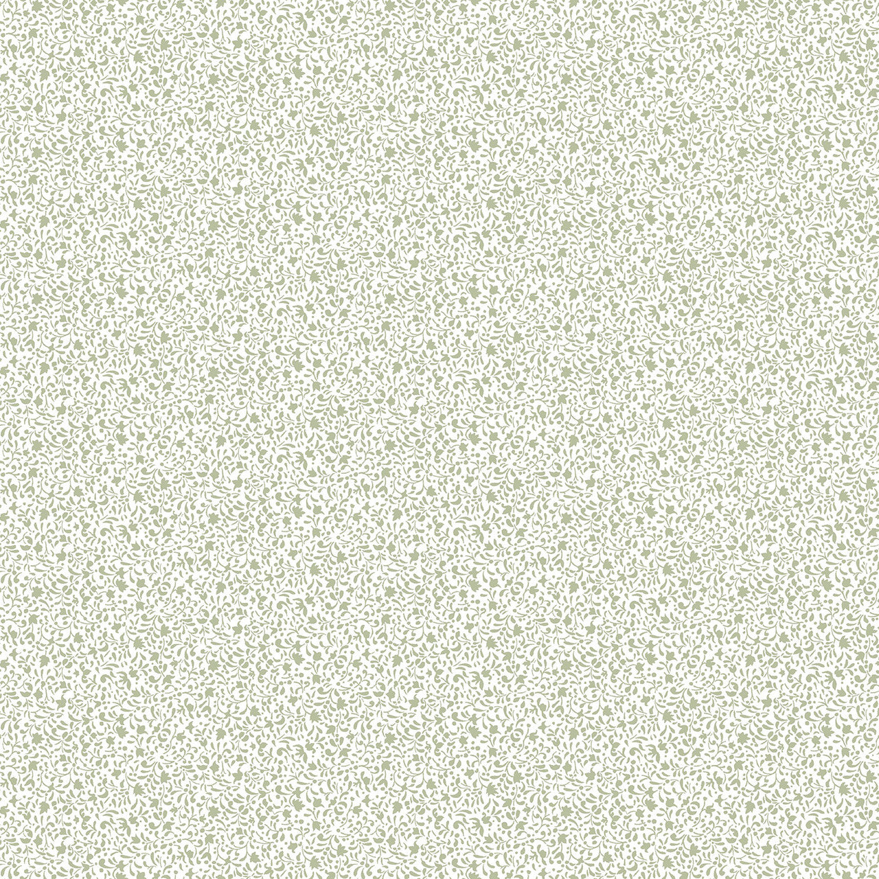 12370 Tiny Botanical Little Explorers 2 Wallpaper By Galerie