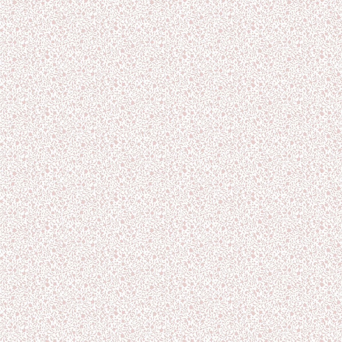 Tiny Botanical Little Explorers 2 Wallpaper By Galerie