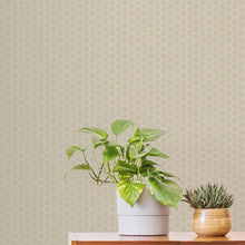 12636 Hexie Astoria Ted Baker Fantasia Wallpaper by Galerie