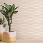 12706 Mano Ted Baker Fantasia Wallpaper by Galerie