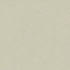 12708 Mano Ted Baker Fantasia Wallpaper by Galerie