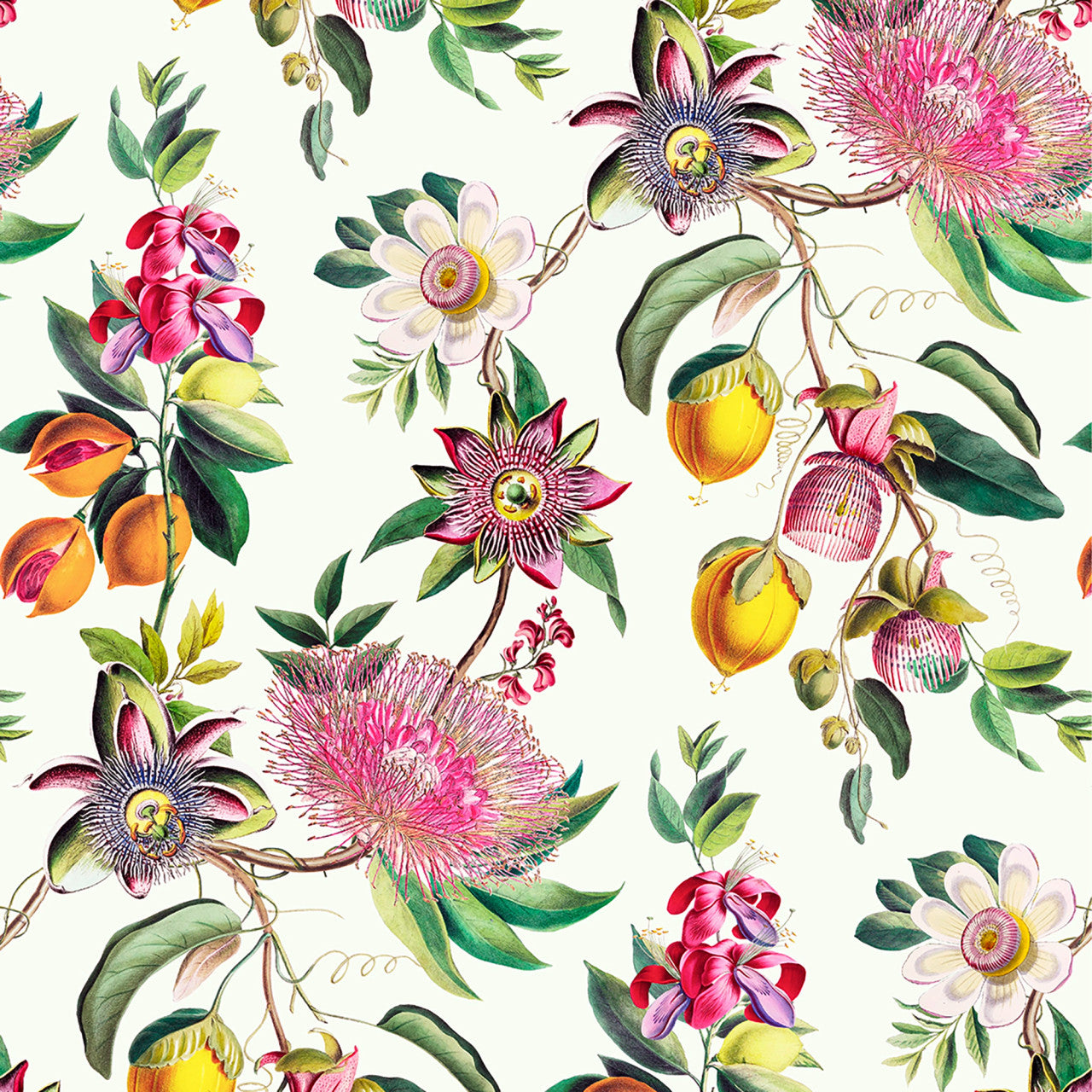 127919 Physic Garden Rivington Folly Wallpaper by Graham and Brown