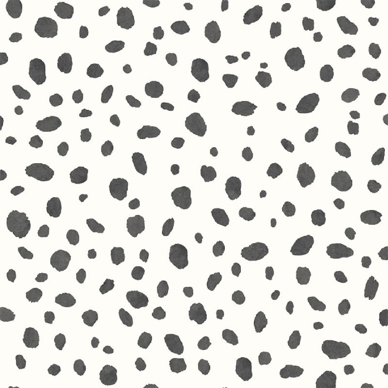 12940 Dalmatian Black and White Wallpaper By Holden DŽcor