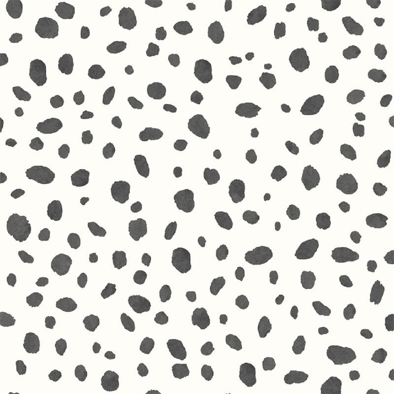 12940 Dalmatian Black and White Wallpaper By Holden DŽcor