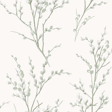 130115 Pussy Willow Sage Green Wallpaper by Laura Ashley
