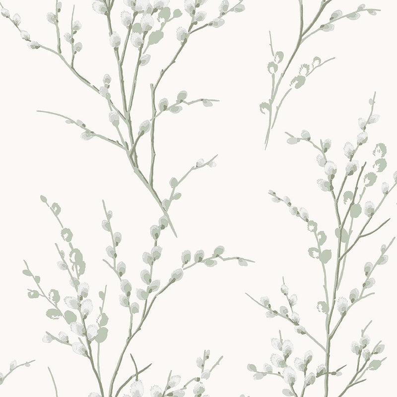 130115 Pussy Willow Sage Green Wallpaper by Laura Ashley