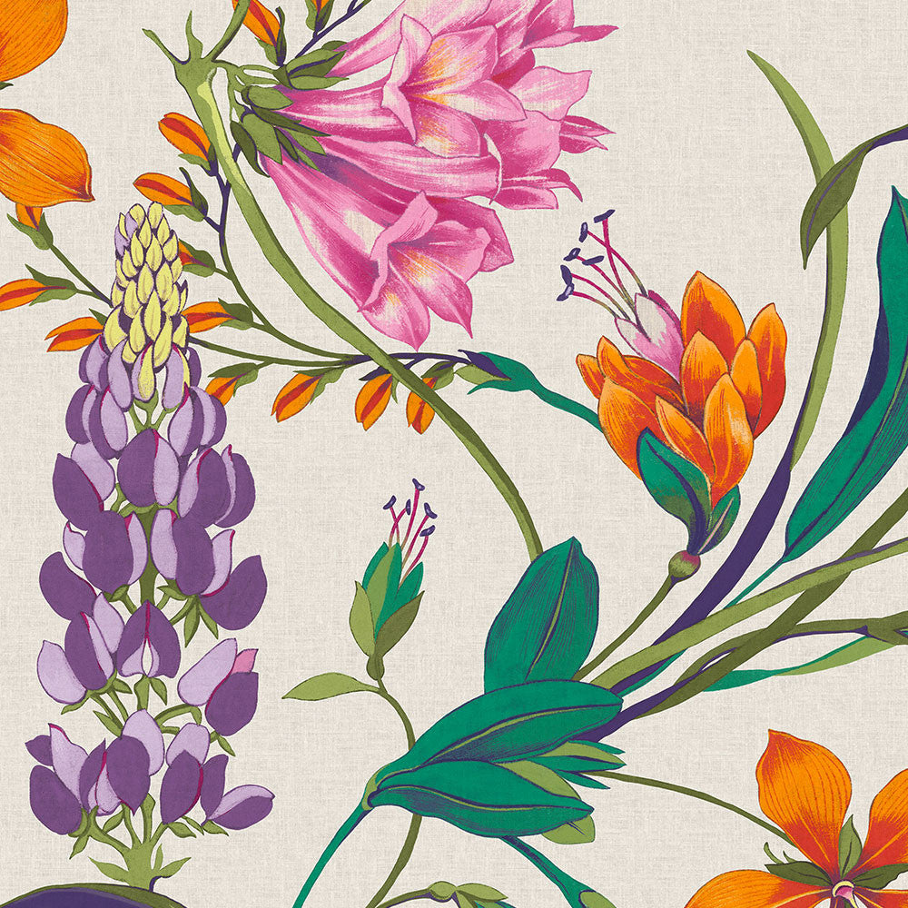 130295 Botanists Scroll Concerto Vivant Wallpaper By Graham & Brown