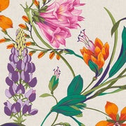 Scroll Concerto Vivant Wallpaper By Graham & Brown