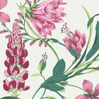 130296 Botanists Scroll Concerto Pink Wallpaper By Graham & Brown