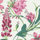 Scroll Concerto Pink Wallpaper By Graham & Brown