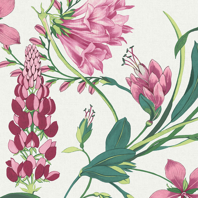 130296 Botanists Scroll Concerto Pink Wallpaper By Graham & Brown