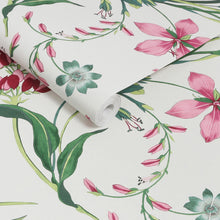 130296 Botanists Scroll Concerto Pink Wallpaper By Graham & Brown