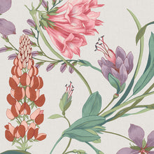 130297 Botanists Scroll Concerto Mauve Wallpaper By Graham & Brown