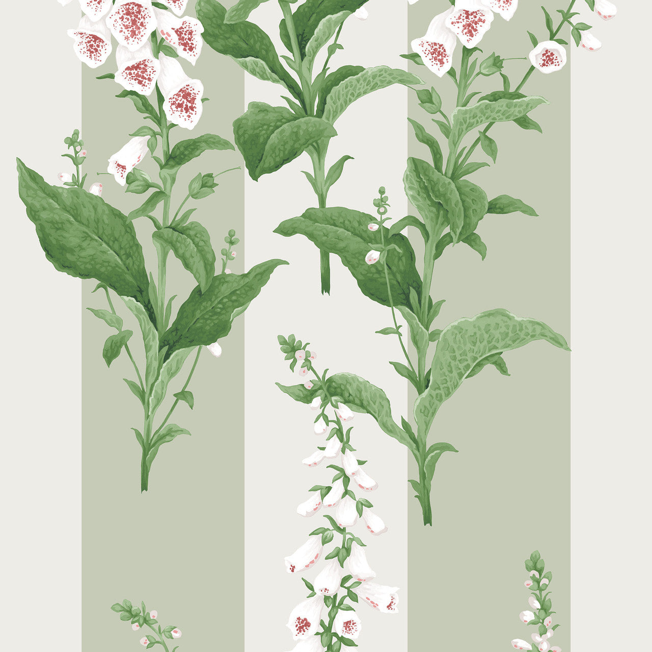 130309 Foxglove Stripe Concerto Sage Wallpaper By Graham & Brown