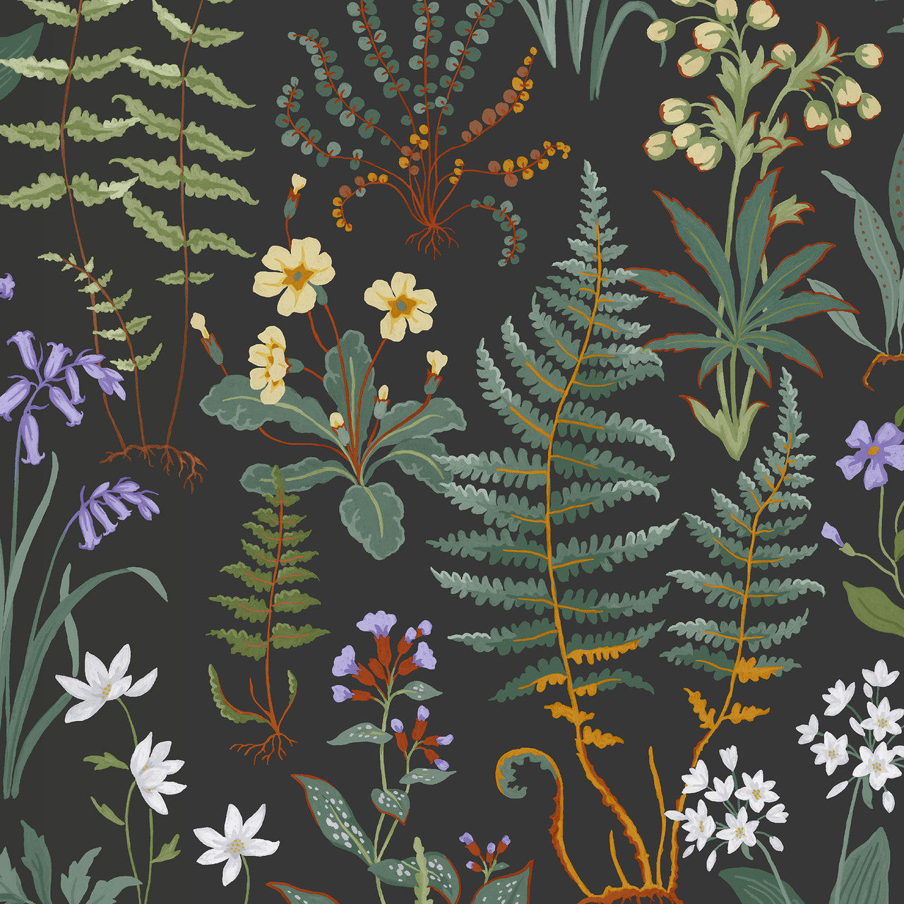 130312 Oshibana Concerto Night Wallpaper By Graham & Brown