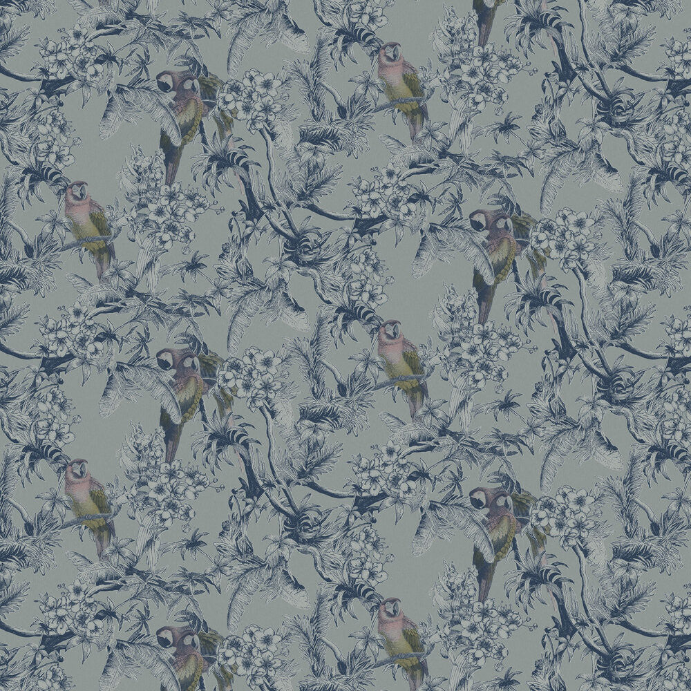 13086 Macaw Eden Wallpaper By Ted Baker Galerie