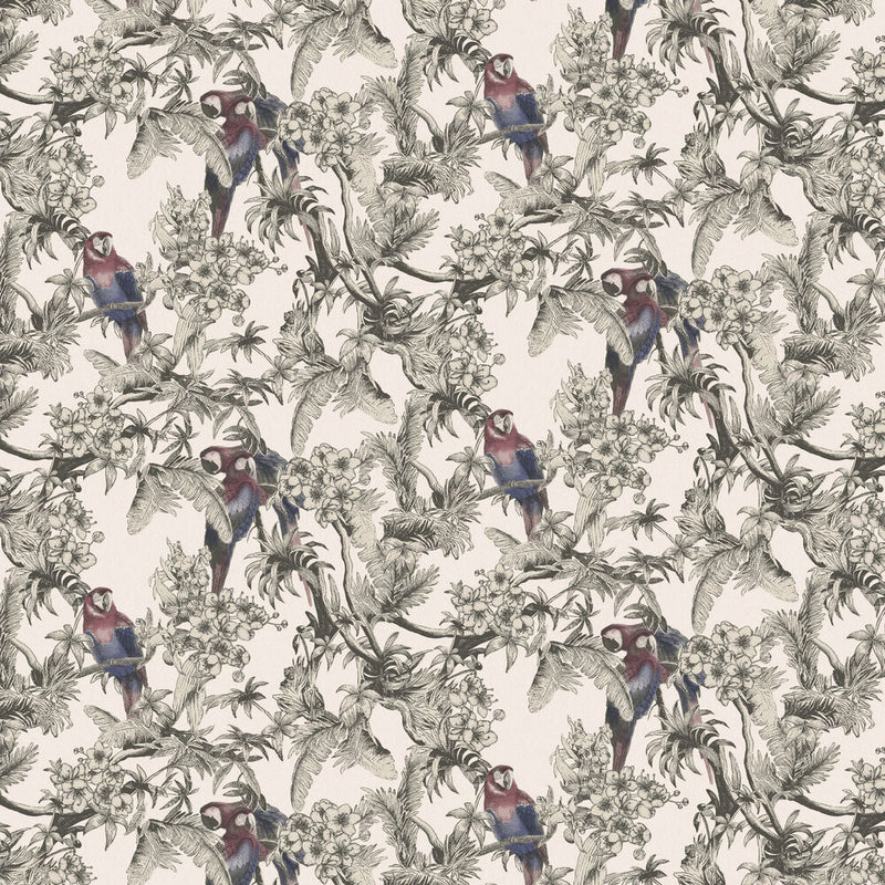 13087 Macaw Eden Wallpaper By Ted Baker Galerie
