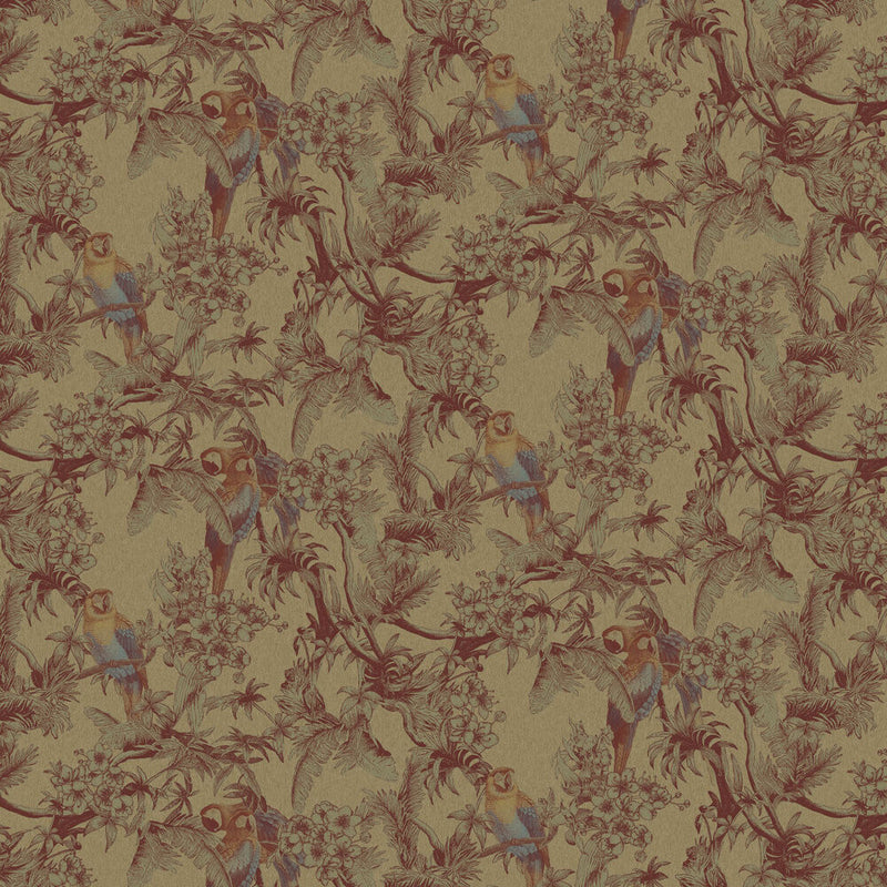 13088 Macaw Eden Wallpaper By Ted Baker Galerie