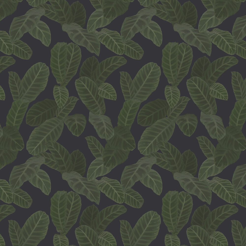 13126 Piner Eden Wallpaper By Ted Baker Galerie